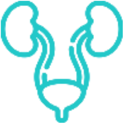 Urology - Andrology - Transplant Surgery